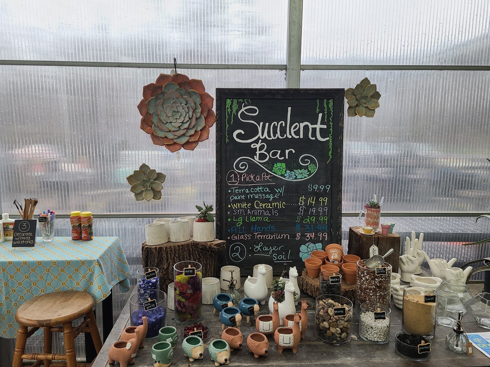 DIY Succulent Bar