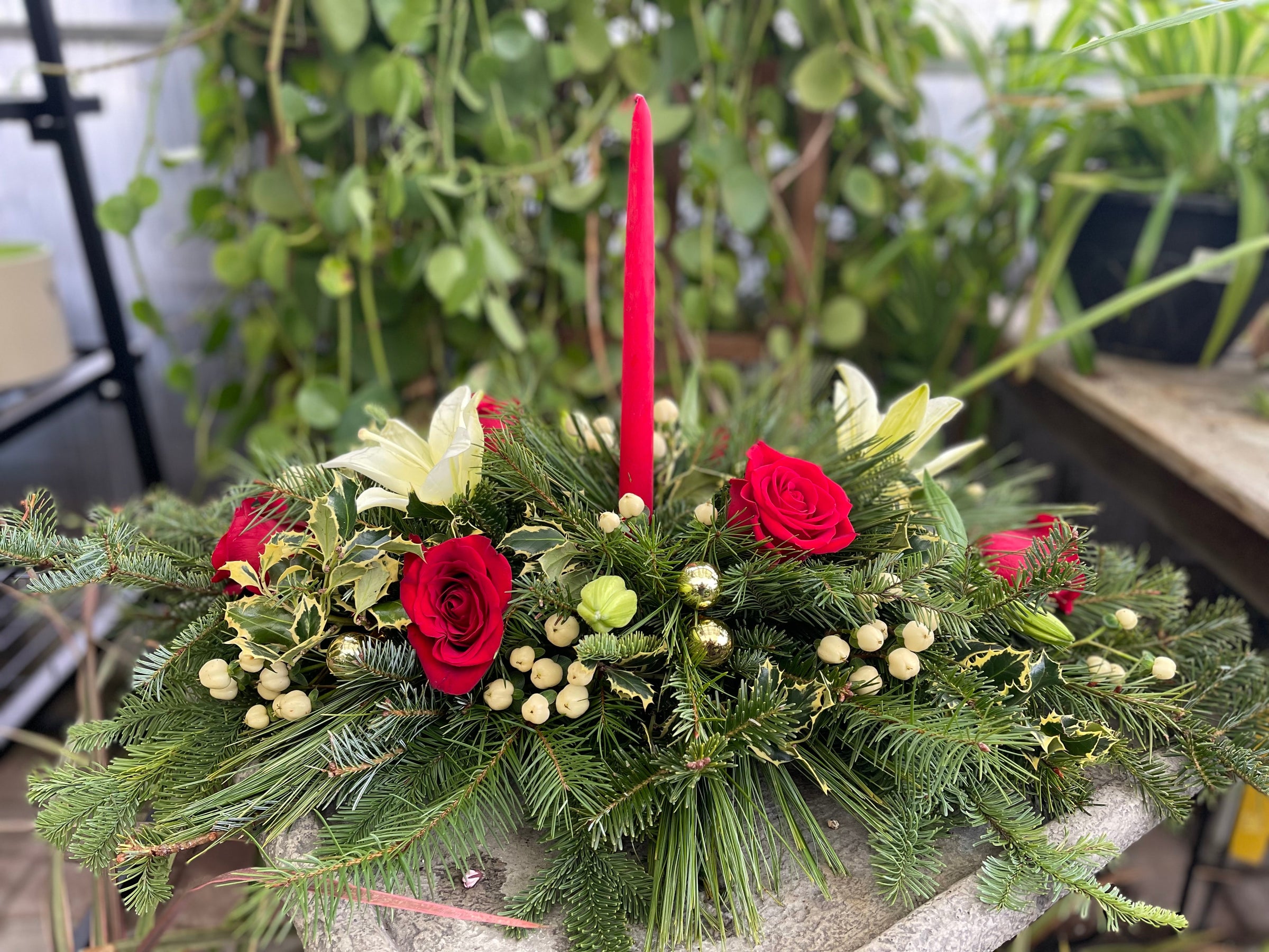 ☘️aiiKEN73*Garden☘️AG202512 KENT/MSU EXTENSION GRAND IDEAS GARDEN - Updated December 2025 - 10