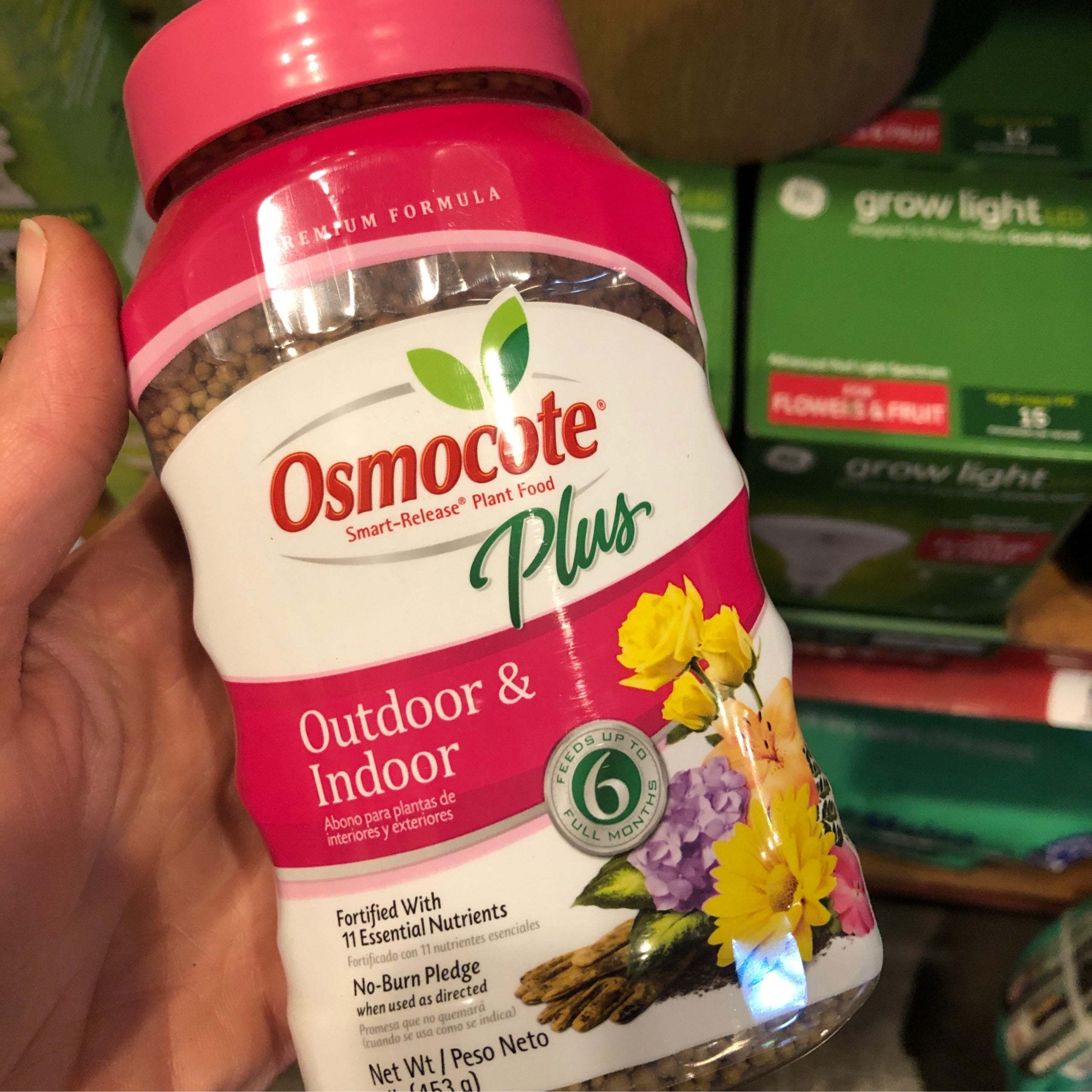 osmocote-outdoor-indoor-plant-food-achin-back-garden-center-online-store